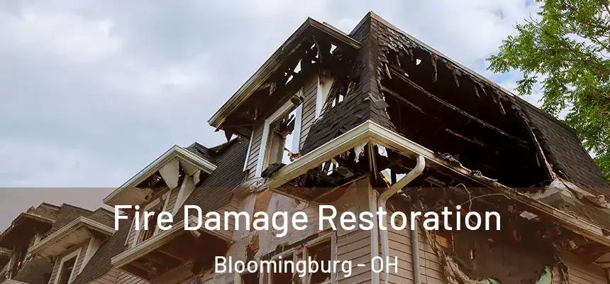 Fire Damage Restoration Bloomingburg - OH