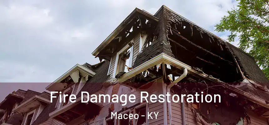  Fire Damage Restoration Maceo - KY