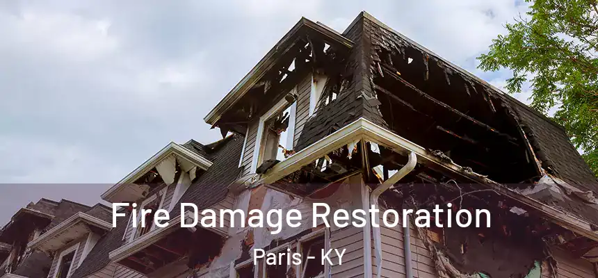 Fire Damage Restoration Paris - KY