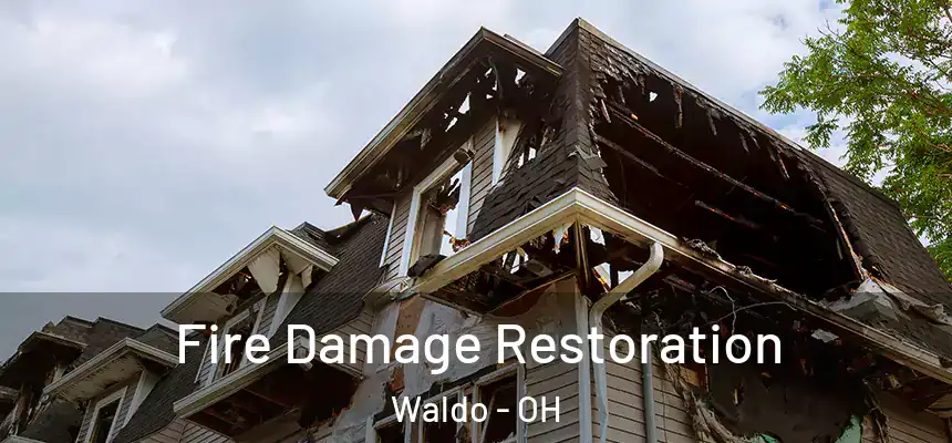  Fire Damage Restoration Waldo - OH