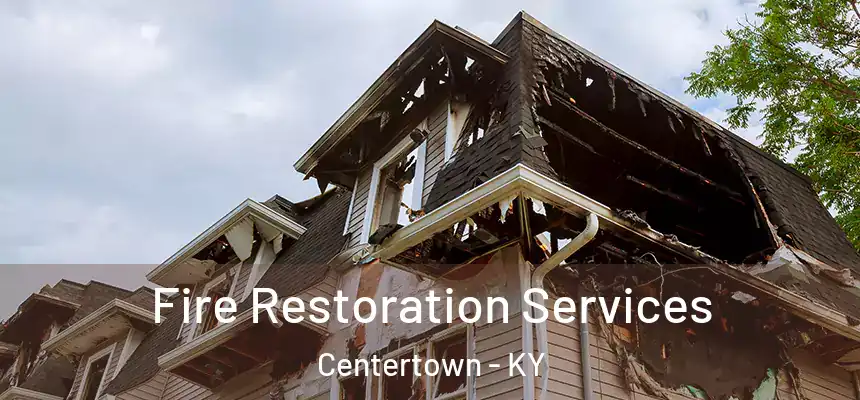 Fire Restoration Services Centertown - KY