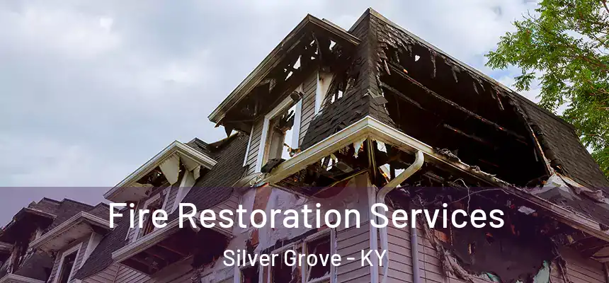  Fire Restoration Services Silver Grove - KY
