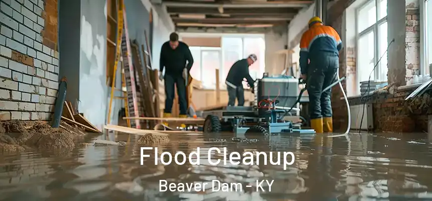 Flood Cleanup Beaver Dam - KY