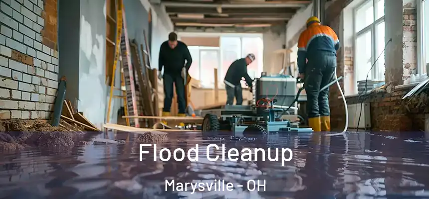  Flood Cleanup Marysville - OH