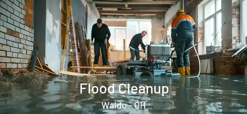  Flood Cleanup Waldo - OH