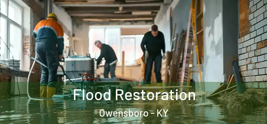 Flood Restoration Owensboro - KY