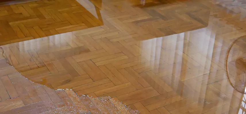 Laminate Wood Floor Water Damage Repair in Owensboro