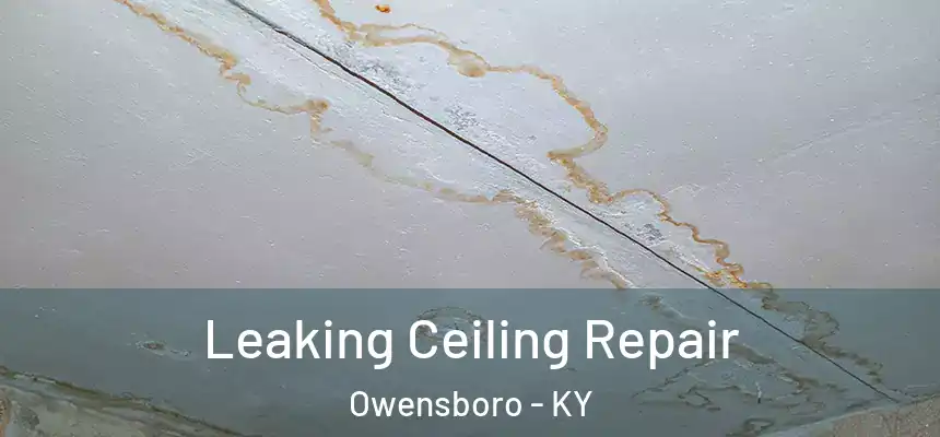  Leaking Ceiling Repair Owensboro - KY