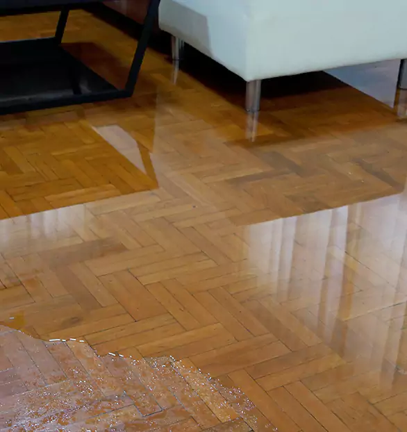 Trusted Emergency Water Restoration Company in Owensboro, KY