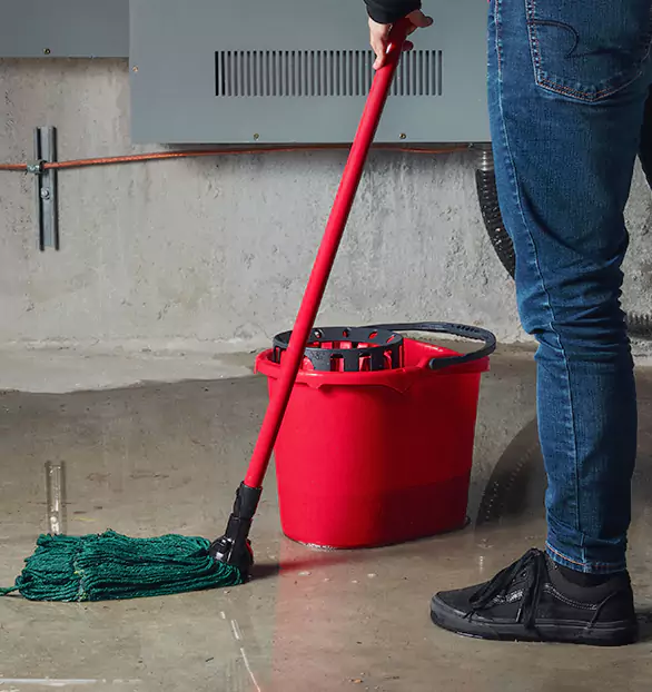 Trusted Sewage Cleanup Company in Owensboro, KY