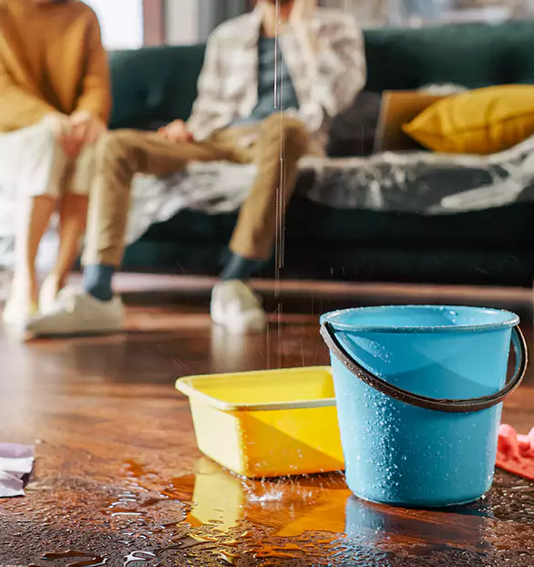 Reliable Water Mitigation Company in Owensboro, KY