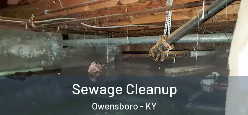  Sewage Cleanup Owensboro - KY