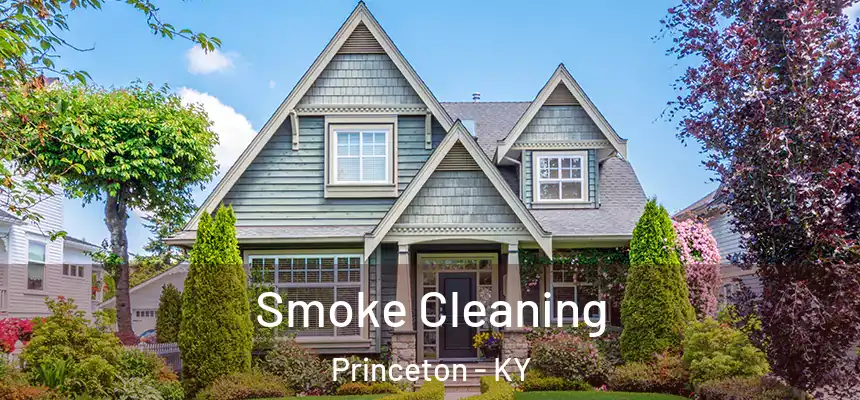  Smoke Cleaning Princeton - KY
