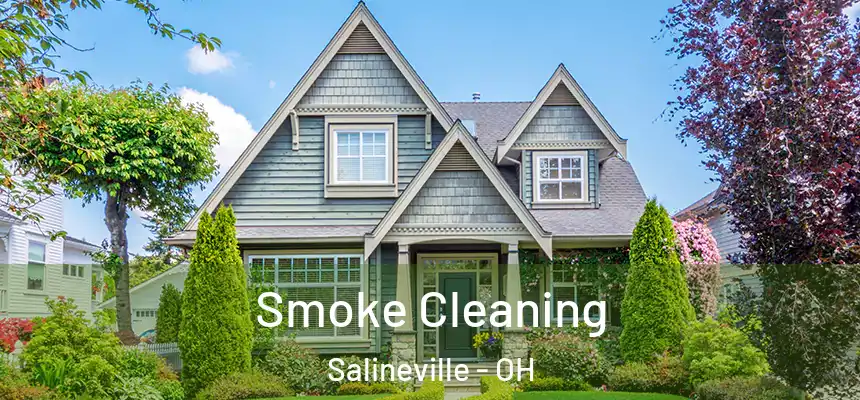  Smoke Cleaning Salineville - OH