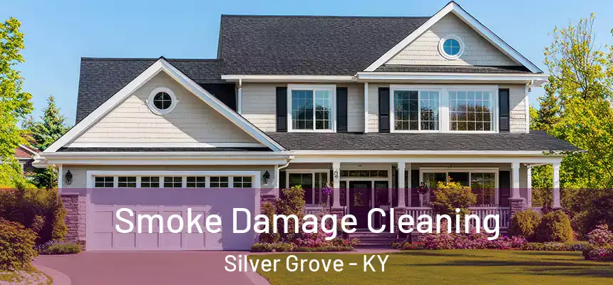  Smoke Damage Cleaning Silver Grove - KY