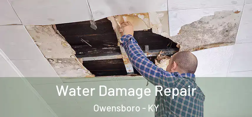 Water Damage Repair Owensboro - KY