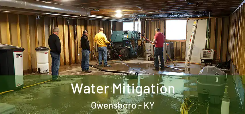  Water Mitigation Owensboro - KY
