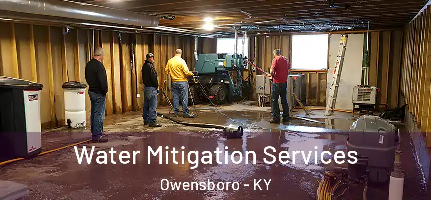 Water Mitigation Services Owensboro - KY