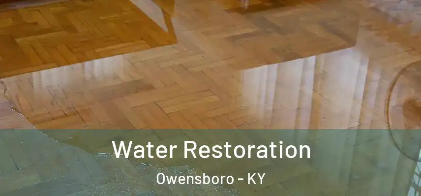  Water Restoration Owensboro - KY
